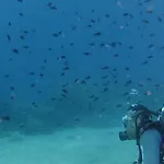 Cape & Kanapitsa (Skiathos)