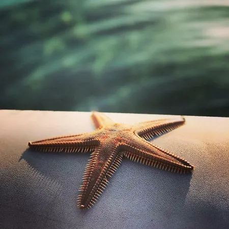 卡那匹斯塔海角酒店及套房 卡纳皮特萨