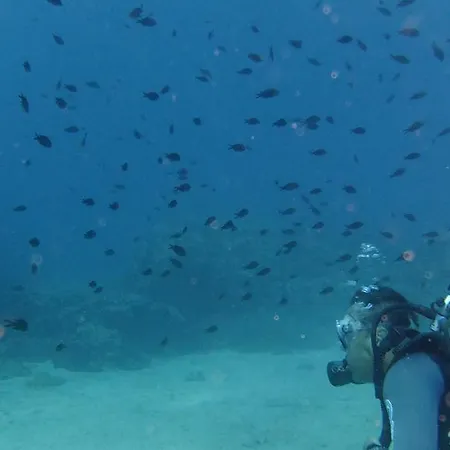 卡那匹斯塔海角酒店及套房 卡纳皮特萨