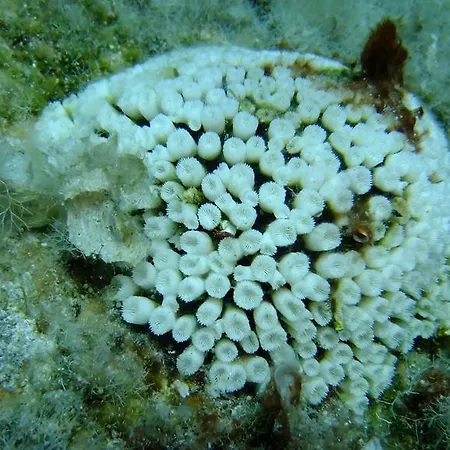 酒店 卡那匹斯塔海角酒店及套房 卡纳皮特萨